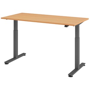 HAMMERBACHER VXMST16 elektrisch höhenverstellbarer Schreibtisch buche rechteckig, T-Fuß-Gestell grau 160,0 x 80,0 cm