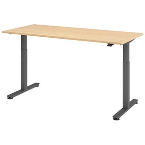 HAMMERBACHER VXMST19 elektrisch höhenverstellbarer Schreibtisch ahorn rechteckig, T-Fuß-Gestell grau 180,0 x 80,0 cm