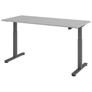 HAMMERBACHER VXMST19 elektrisch höhenverstellbarer Schreibtisch lichtgrau rechteckig, T-Fuß-Gestell grau 180,0 x 80,0 cm