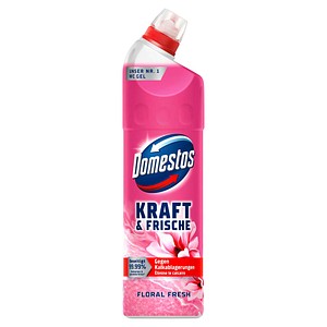 Domestos KRAFT & FRISCHE GEL WC-Reiniger FLORAL FRESH, 750 ml