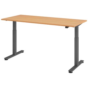 HAMMERBACHER VXMST19 elektrisch höhenverstellbarer Schreibtisch buche rechteckig, T-Fuß-Gestell grau 180,0 x 80,0 cm