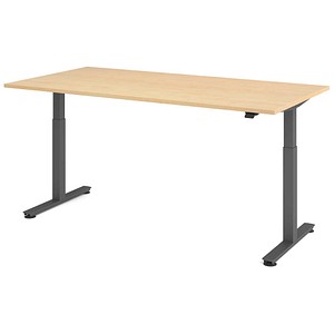 HAMMERBACHER VXMST2E elektrisch höhenverstellbarer Schreibtisch ahorn rechteckig, T-Fuß-Gestell grau 200,0 x 100,0 cm