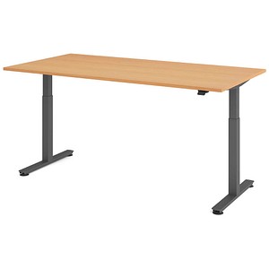 HAMMERBACHER VXMST2E elektrisch höhenverstellbarer Schreibtisch buche rechteckig, T-Fuß-Gestell grau 200,0 x 100,0 cm