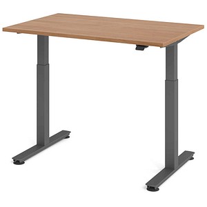 HAMMERBACHER VXMST12 elektrisch höhenverstellbarer Schreibtisch nussbaum rechteckig, T-Fuß-Gestell grau 120,0 x 80,0 cm