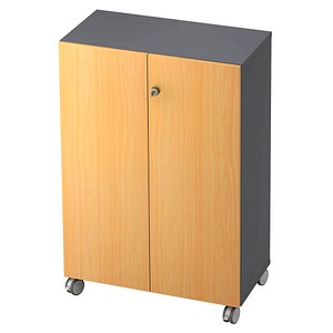 HAMMERBACHER Aktenschrank Profi, V238T3RA/G/6/SG graphit, buche 2 Fachböden 80,0 x 42,0 x 117,2 cm