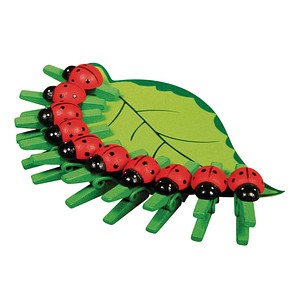 Rayher Holzklammern grün/rot mit Marienkäfer Ø 2,5 cm, 10 St.