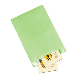 VP Faltenbeutel hellgrün 15,0 x 21,0 cm, 100 St.