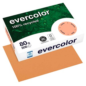 Clairefontaine Recyclingpapier Evercolor lachs DIN A4 80 g/qm 500 Blatt