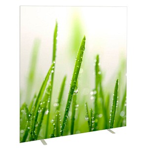 PAPERFLOW Trennwand easyScreen ES160014, Gräser bunt 160,0 x 173,2 cm, 1 St.