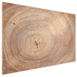 ALLboards Magnettafel 60,0 x 40,0 cm Baumstamm