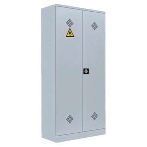 LÜLLMANN Umweltschrank 566250 lichtgrau 4 Fachböden 91,6 x 42,2 x 195,0 cm, aufgebaut, 1 St.