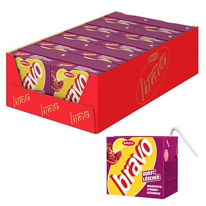 RAUCH GRANATAPFEL ZITRONE Fruchtsaftgetränk 10x 0,5 l