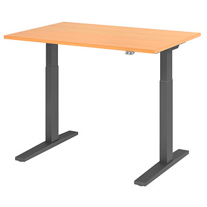 HAMMERBACHER XMKA12 elektrisch höhenverstellbarer Schreibtisch buche rechteckig, C-Fuß-Gestell grau 120,0 x 80,0 cm