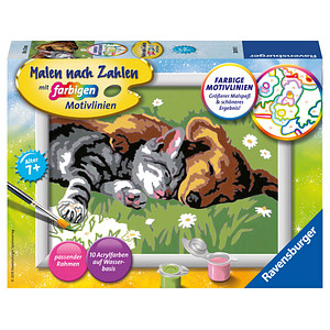 Ravensburger Malen-nach-Zahlen Tiefer Schlaf mehrfarbig