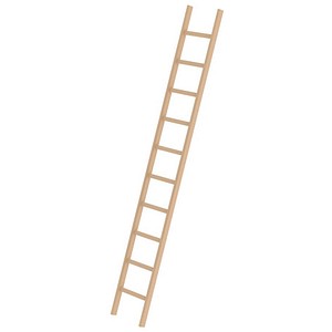 MUNK Anlegeleiter 33110 natur 10 Sprossen, H: 300,0 cm