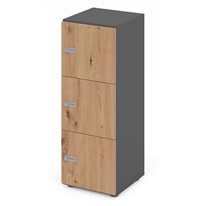 HAMMERBACHER Schließfachschrank grafit, asteiche V234L3/G/R/ZS, 3 Schließfächer 40,0 x 42,0 x 110,0 cm
