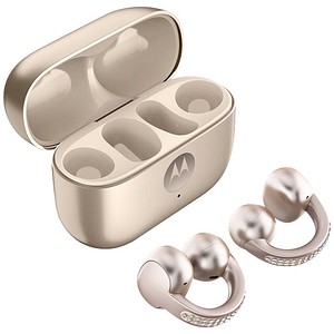 MOTOROLA moto buds loop In-Ear-Kopfhörer beige