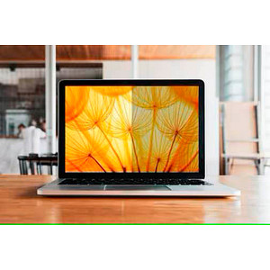 3M Display-Blickschutzfilter für 33,8 cm (13,3 Zoll)