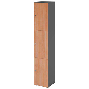 HAMMERBACHER Schließfachschrank grafit, nussbaum V264L3/G/N/ZS, 3 Schließfächer 40,0 x 42,0 x 215,6 cm