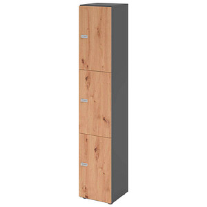 HAMMERBACHER Schließfachschrank grafit, asteiche V264L3/G/R/ZS, 3 Schließfächer 40,0 x 42,0 x 215,6 cm