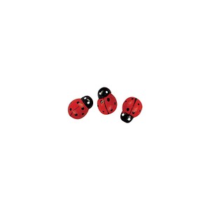 Rayher Holz-Streudeko rot/schwarz Marienkäfer Ø 1,0 cm, 24 St.