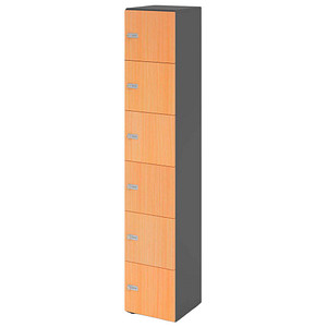 HAMMERBACHER Schließfachschrank grafit, buche V264L6/G/6/ZS, 6 Schließfächer 40,0 x 42,0 x 215,6 cm