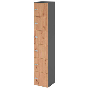 HAMMERBACHER Schließfachschrank grafit, asteiche V264L6/G/R/ZS, 6 Schließfächer 40,0 x 42,0 x 215,6 cm
