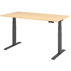 HAMMERBACHER XDKB16 elektrisch höhenverstellbarer Schreibtisch ahorn rechteckig, C-Fuß-Gestell grau 160,0 x 80,0 cm