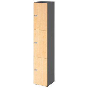 HAMMERBACHER Schließfachschrank grafit, ahorn V264L3/G/3/ZS, 3 Schließfächer 40,0 x 42,0 x 215,6 cm