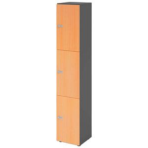 HAMMERBACHER Schließfachschrank grafit, buche V264L3/G/6/ZS, 3 Schließfächer 40,0 x 42,0 x 215,6 cm