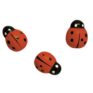 Rayher Holz-Streudeko rot/schwarz Marienkäfer Ø 1,5 cm, 24 St.