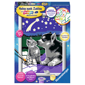 Ravensburger Malen-nach-Zahlen Hund und Katze mehrfarbig