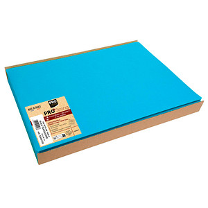 PROnappe Platzsets türkis 30,0 x 40,0 cm, 100 St.