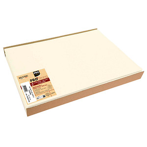 PROnappe Platzsets beige 30,0 x 40,0 cm, 100 St.