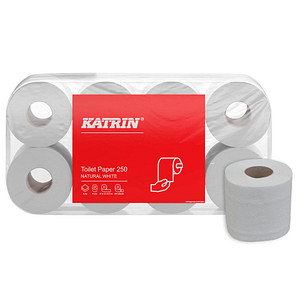 KATRIN Toilettenpapier 250 2-lagig Recyclingpapier, 64 Rollen