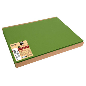 PROnappe Platzsets grün 30,0 x 40,0 cm, 100 St.