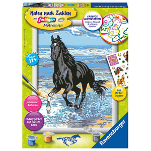 Ravensburger Malen-nach-Zahlen Pferd am Strand mehrfarbig